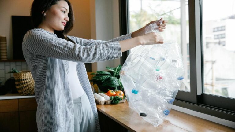 Como usar embalagens transparentes para destacar o produto